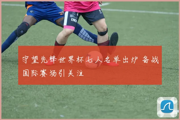 守望先锋世界杯七人名单出炉 备战国际赛场引关注