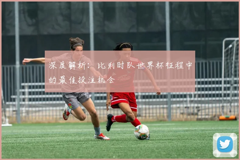 深度解析：比利时队世界杯征程中的最佳投注机会