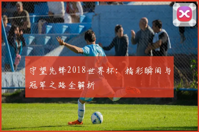 守望先锋2018世界杯:精彩瞬间与冠军之路全解析